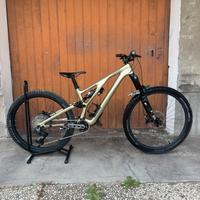 Specialized Stumpjumper evo expert carbon tg M(s3)