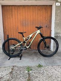Specialized Stumpjumper evo expert carbon tg M(s3)