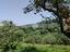 Immagine 22