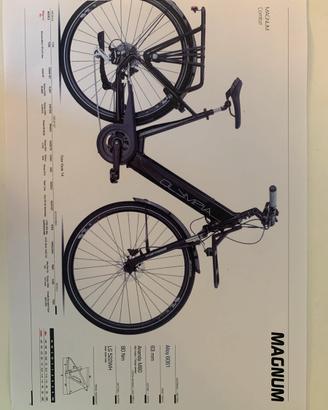 E BIKE OLYMPIA MAGNUM DONNA USATA POCHISSIMO