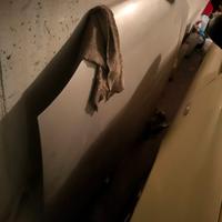 cofano Ford Fiesta Zetec 2001