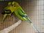 Immagine 3
