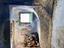 Immagine 18