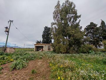 Deposito su lotto agricolo di quasi un ettaro