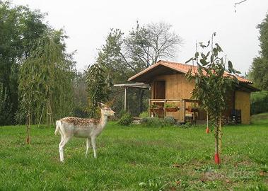 Particolare Terreno agricolo
