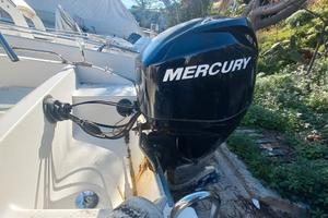 Motore barca Mercury