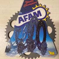 Afam corona 49 denti per R1 e altri modelli