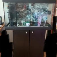 Acquario 130  litri filtro mobile decori luce