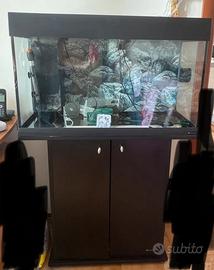 Acquario 130  litri filtro mobile decori luce