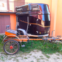 Calesse in legno + finimenti