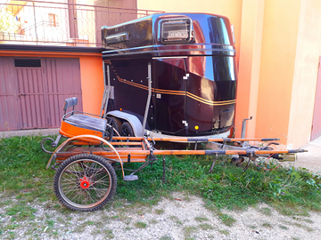 Calesse in legno + finimenti