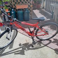 bicicletta