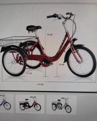 bicicletta