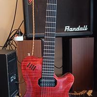 Godin USA 1996 chitarra elettrica e acustica 