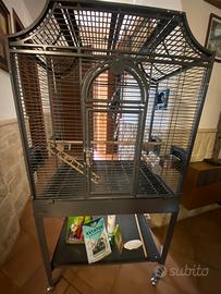 Gabbia pappagalli montana madeira