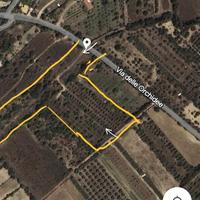 Terreno agricolo 1ettaro pressi Divertland