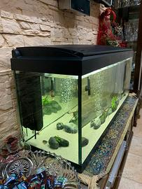 Acquario Milo 100