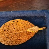 ciondolo foglia naturale in bagno oro 24 k