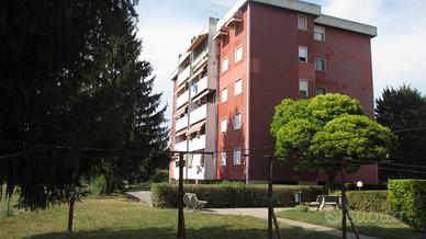 Monfalcone, perfetto bicamere in residence