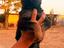 Immagine 3