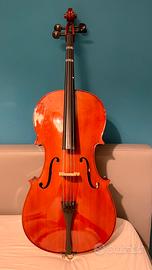 Violoncello Stentor Rialto2   1/2