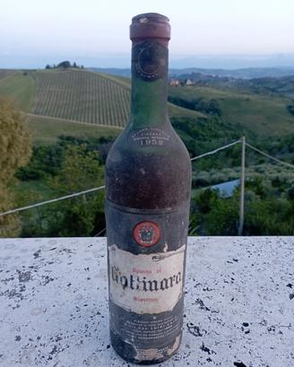 Vino Spanna (Nebbiolo) di Gattinara Superiore 1952