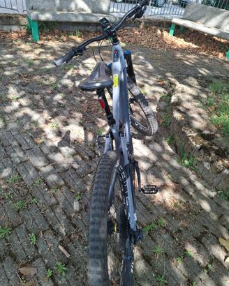 Mondraker