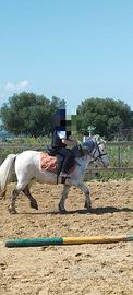 Pony Scuola