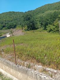 Terreno in campagna