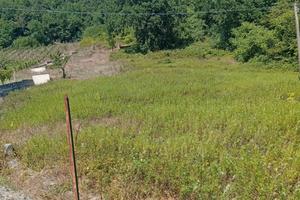 Terreno in campagna