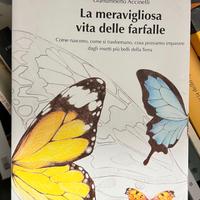 La meravigliosa vita delle farfalle