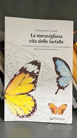 La meravigliosa vita delle farfalle