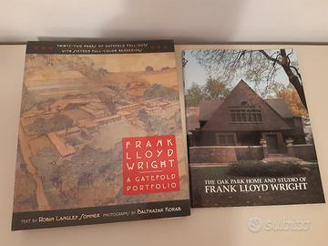 2 testi architetture di Frank Lloyd Wright