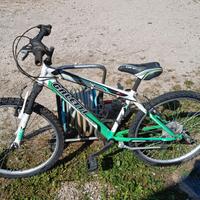 Bicicletta bambini