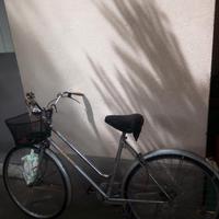 Bicicletta Tuder sport grigia