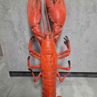 ARAGOSTA DA ARREDO