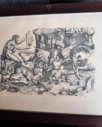 Allegoria: combattimento di animali