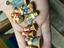 Immagine 4