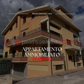 Appartamento Avezzano [Cod. rif 3342485ARG]