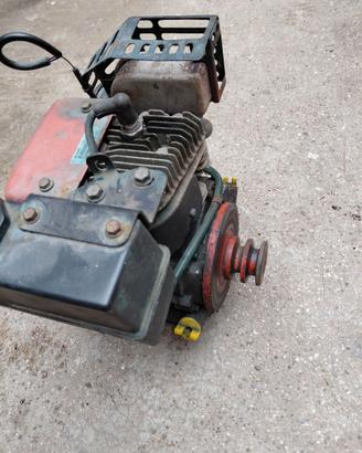 Motore a benzina con puleggia