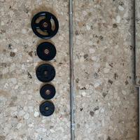 Dischi ghisa pesi palestra