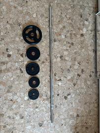 Dischi ghisa pesi palestra