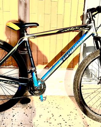 Mountain bike
