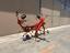 Immagine 1