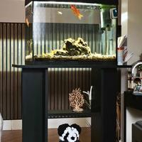 Acquario Tetra 80 litri completo di mobile