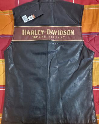 Gilet Harley Davidson 120th Anniversary 