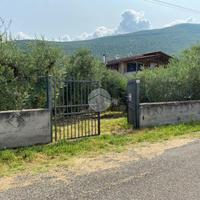 TER. AGRICOLO A PALOMBARA SABINA
