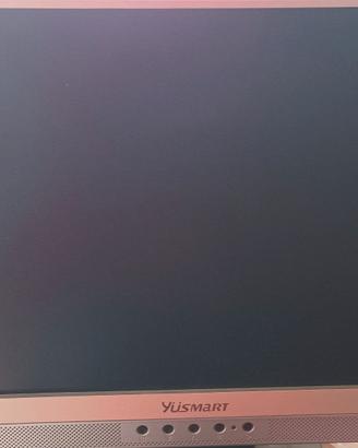 Monitor LCD 19 pollici Yusmart con casse integrate