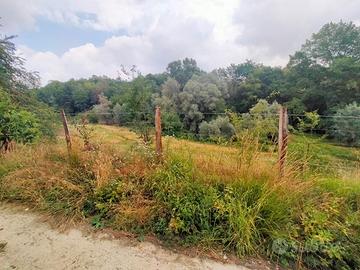 BALDISSERO Valle Ceppi terreno edificabile