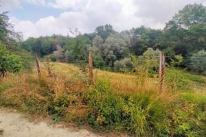 BALDISSERO Valle Ceppi terreno edificabile